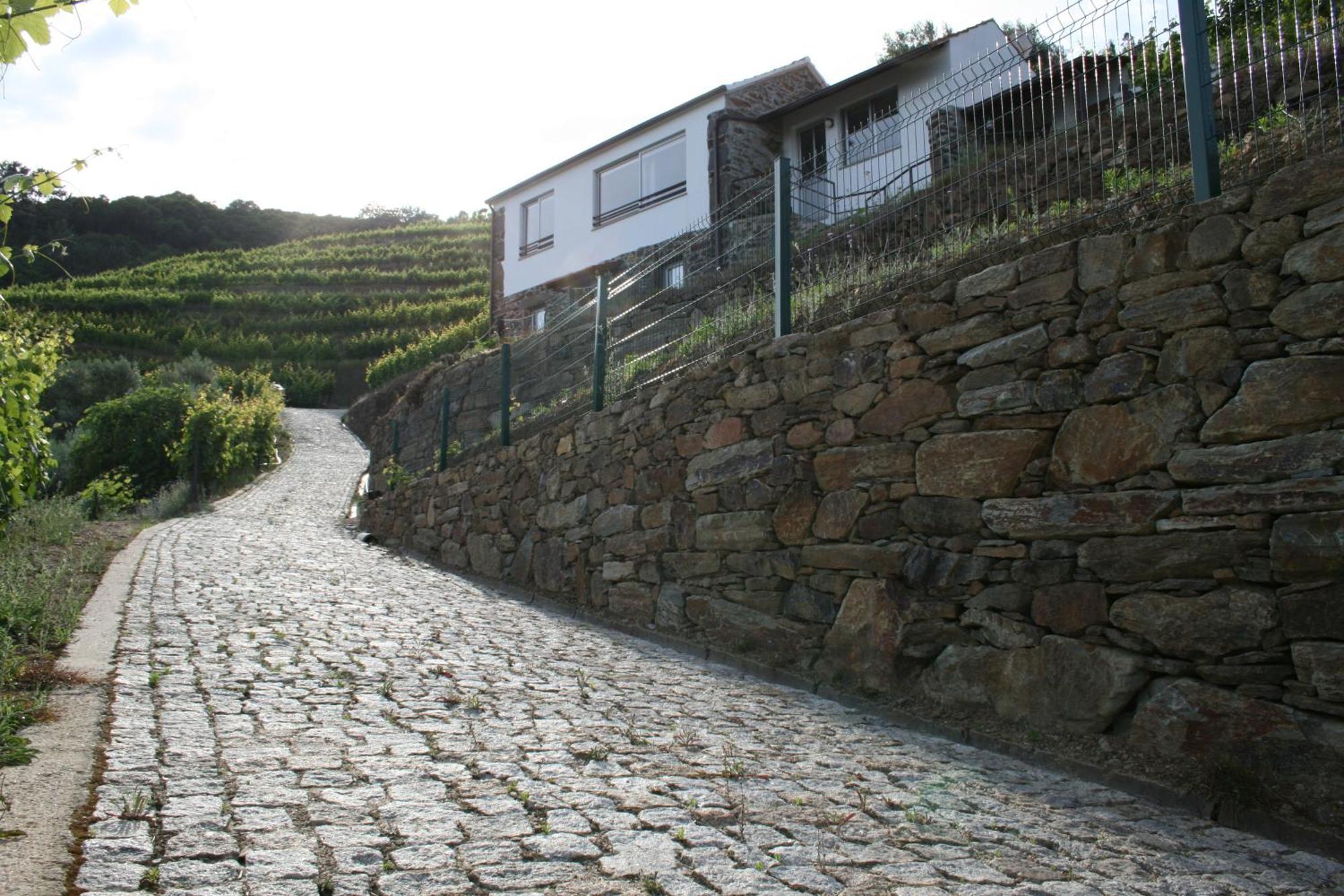 Villa Casa Da Oliveira Mesão Frio Exterior foto